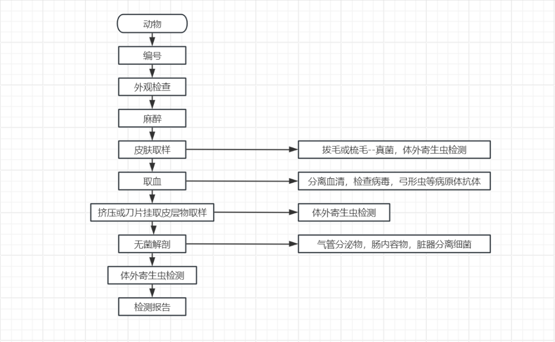 实验动物微生物质量检测