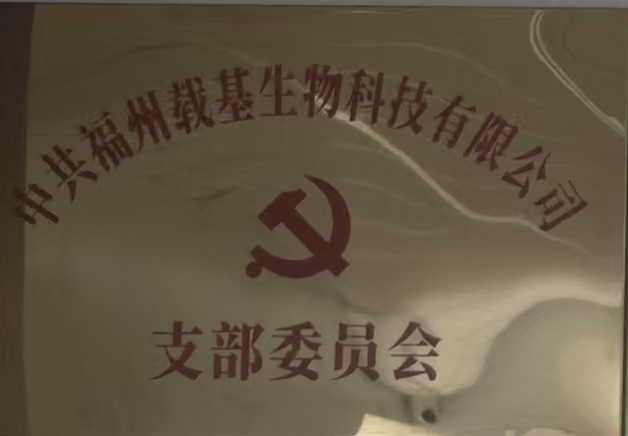 载基