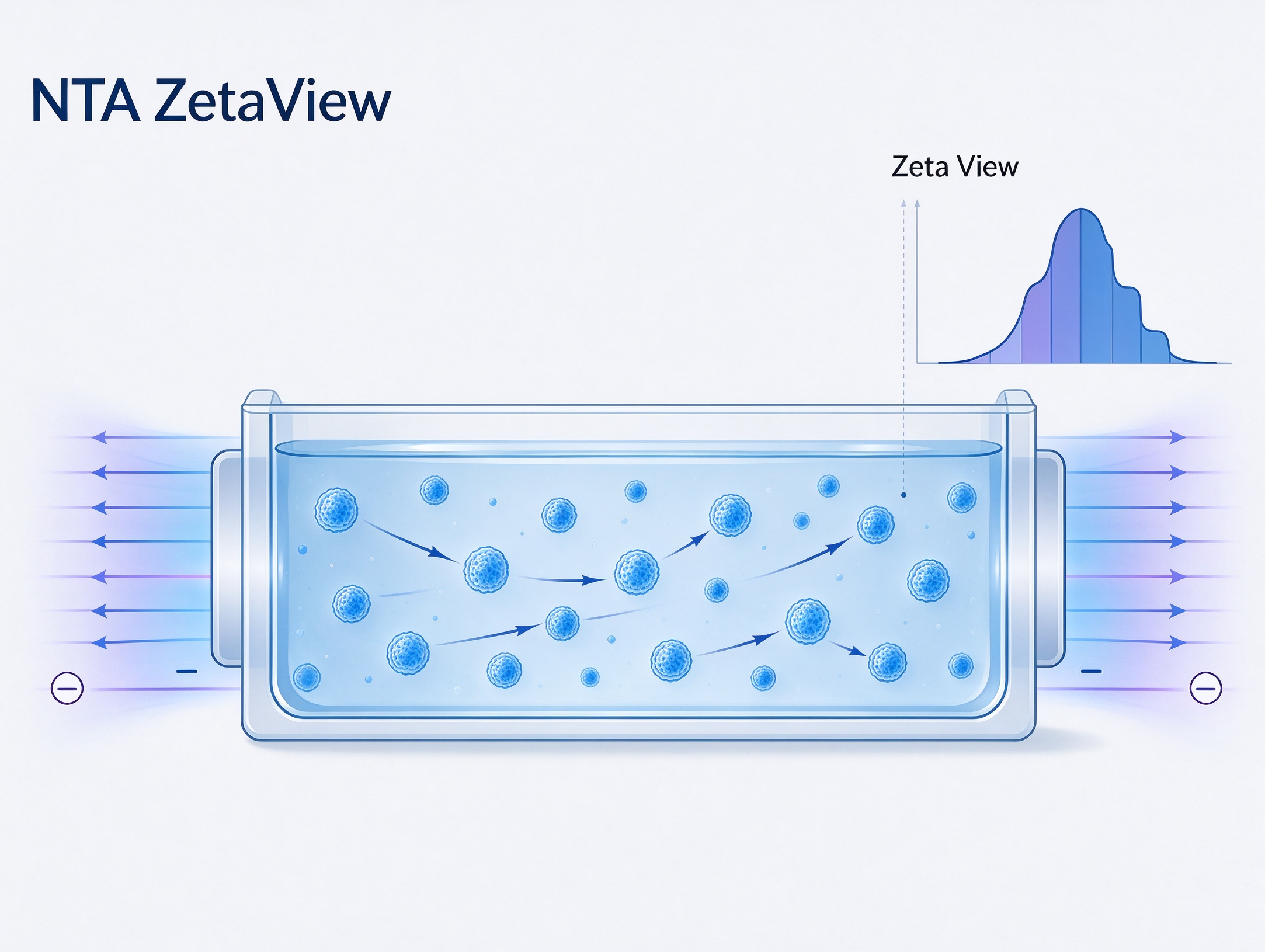 外泌体 Zeta 电位检测